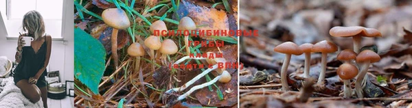 амфетамин Армянск