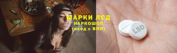 кокс Аркадак
